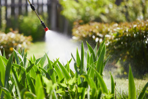 24/7 Emergency Wasp Removal experts in Gallipolis, OH