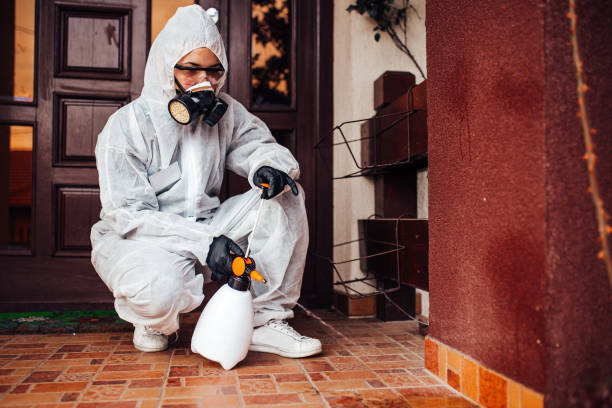Reliable Wasp Removal contractor in Gallipolis, OH by Show Me Pest Control