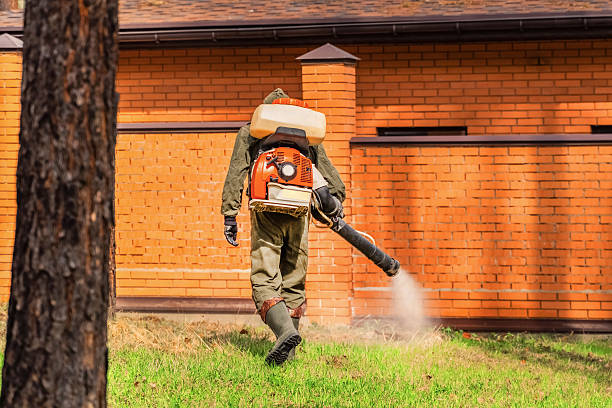 Top rated local Wasp Removal specialists in Gallipolis, OH
